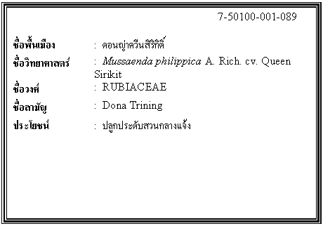 กล่องข้อความ: 7-50100-001-089 ชื่อพื้นเมือง : ดอนญ่าควีนสิริกิติ์ ชื่อวิทยาศาสตร์ : Mussaenda philippica A. Rich. cv. Queen Sirikit ชื่อวงศ์ : RUBIACEAE ชื่อสามัญ : Dona Trining ประโยชน์ : ปลูกประดับสวนกลางแจ้ง